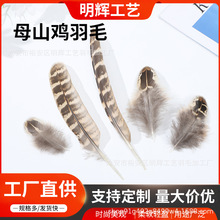 母山鸡毛DIY羽毛箭羽逗猫棒羽毛天然色羽毛自然色羽毛