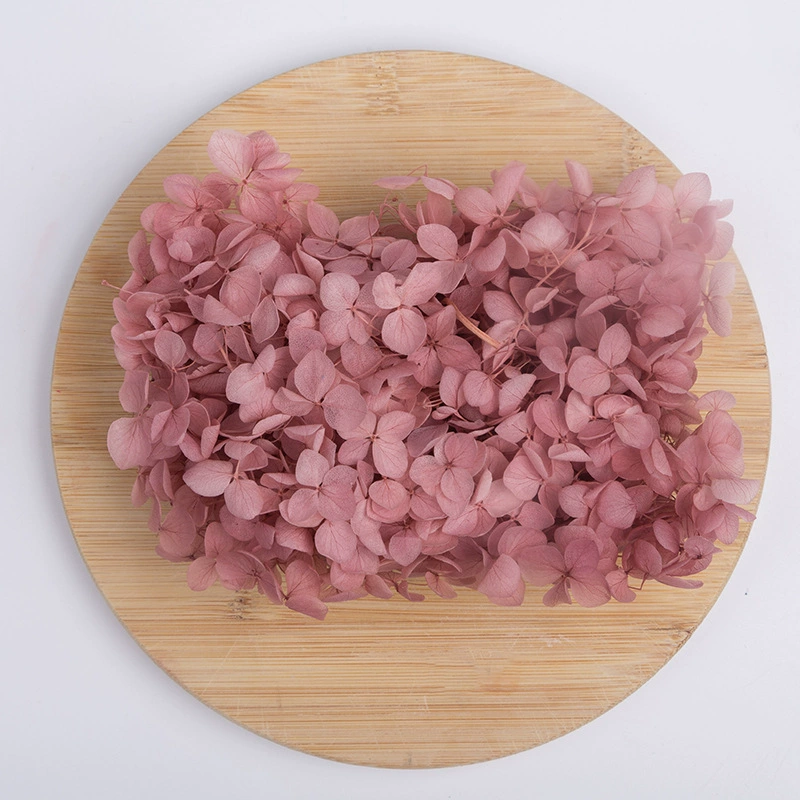 Вечный цветок Сухоцветная коробка Анна Гранди Hydrangea посыпанные лепестки цветов для лица свадьбы оформление Цветочный стиль