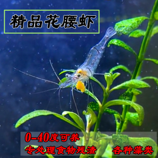 �����r�~��ˮ���坍���幤�߳����^�p���r������w��ϵ�ˮ���쾰