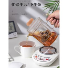 電熱杯迷你玻璃養生壺花茶壺煮茶器辦公室小型容量0.4升一件代發