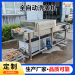 中药材加工清洗流水线西洋参清洗深加工设备太子参高压喷淋清洗机