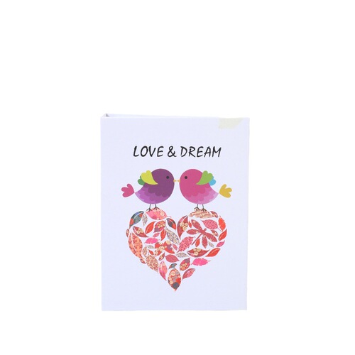 Zheyu new product 4R6 inch 100 sheets insert photo album cartoon girl cover children photo album wholesale cross-border
