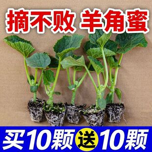 ���I10��10�á�������������������G��ʯ�����ӹ��ܹ���ϲ���