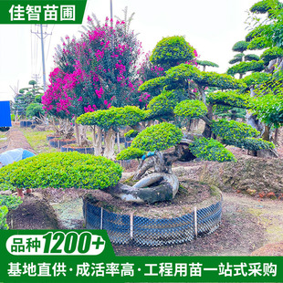 ���ϻ��ع���ͥԺ���@�G���쾰�����ܘ��辰�ܘ䘶�ܘ���F؛���l