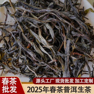 2025���²���ǰ�����ն��S�����l����ն�����~�N�Ř������ɢ��