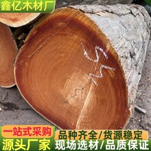 现货批发红椿防腐木 红椿木原木板材 加工家具工程柱子料一手货源