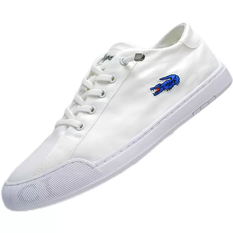 Cloth summer breathable thin trend universal white shoes, Korean style