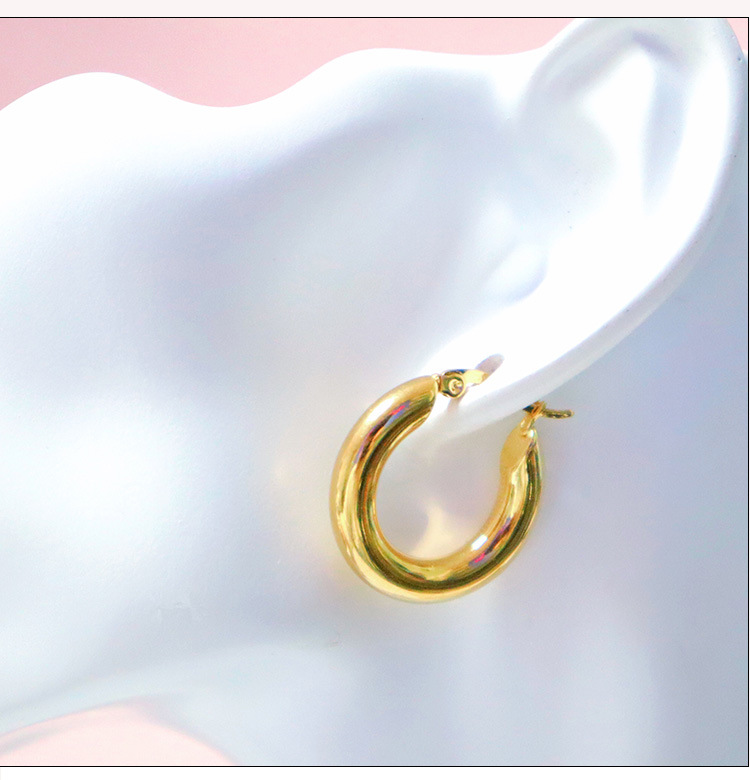 Solid Color Pattern Women'S Gender 1 Pair Simple Style Solid Color Plating Stainless Steel Hoop Earrings