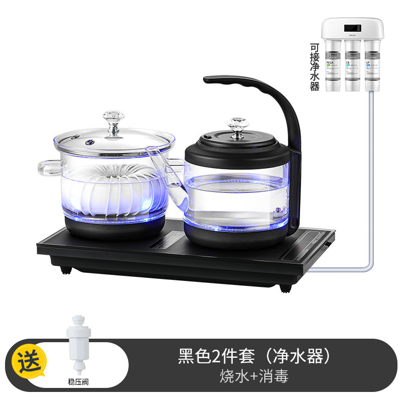 검은 소독 (정수기)