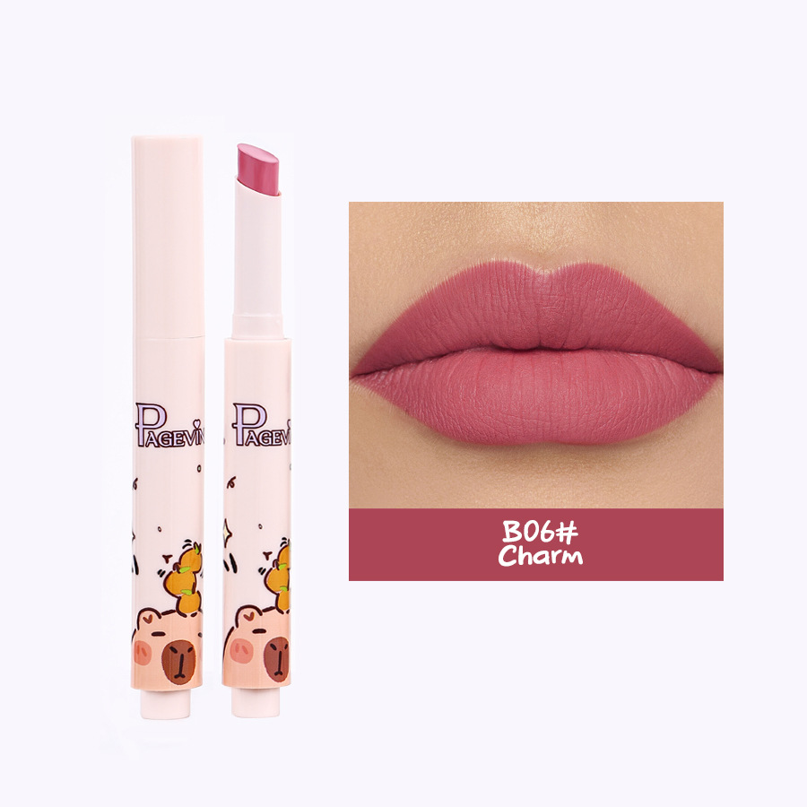 Barra de labios Kapibala transfronteriza 6 PÁGINA Nuevo juego de maquillaje Lápiz labial impermeable de larga duración europeo y americano