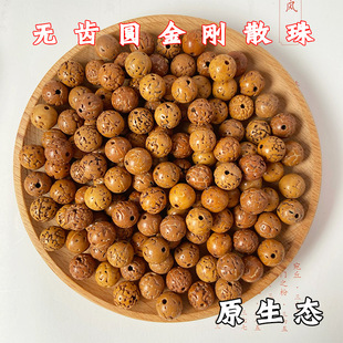 �o�X�AС����ɢ����������������ִ��ֳ���Ů�������l