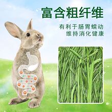 �M����Ħ�������Ӹɲ���Ϲ����С���ݺ����Ħ������ޣ�ݴ�����