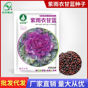 �����¸��{�N�� ��������ײ˷N�� ��ɫ�^�p���˷N�ݺ��S�S�����l