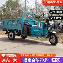 电动三轮车外贸出口载重王大功率农用载人拉货电动三轮车