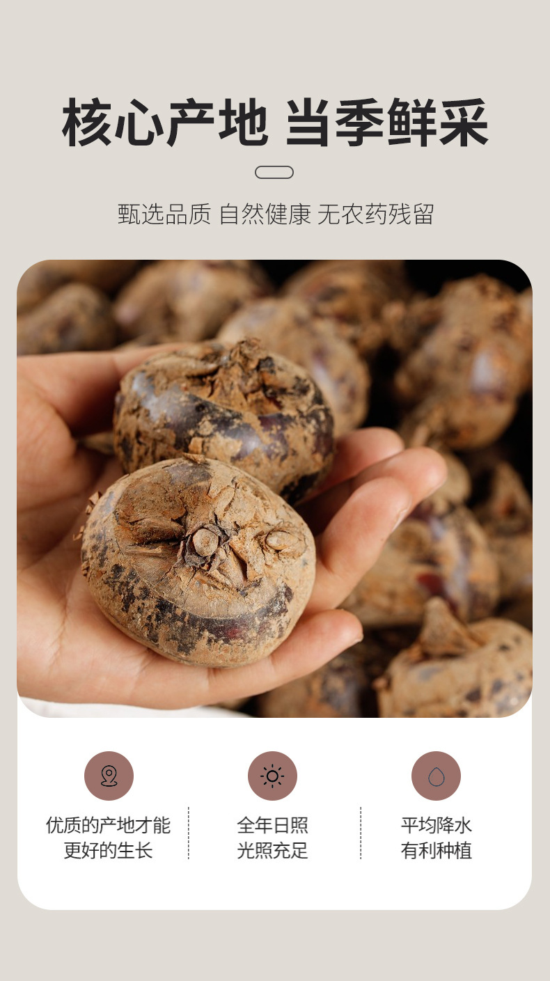 Dried Water Chestnut Slices (Eleocharis dulcis) — 500g Food-Herb Slices for Soup & Sweet Broth quality and texture
