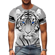 �羳2025�����¿�����ѷ����վ��˧ʱ�и�Ʒ����ʿ����T��
