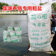 �\�����ô��}�����Օ��~�}�}�ﺣˮ�_���Bֳˮ���~�ؓQˮ