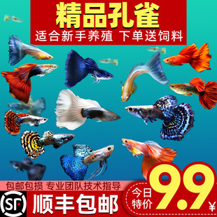 ��ȸ�~�Ꭷ�^�p���~���B���R��ˮ���~���Pβ�~�����~��S������~
