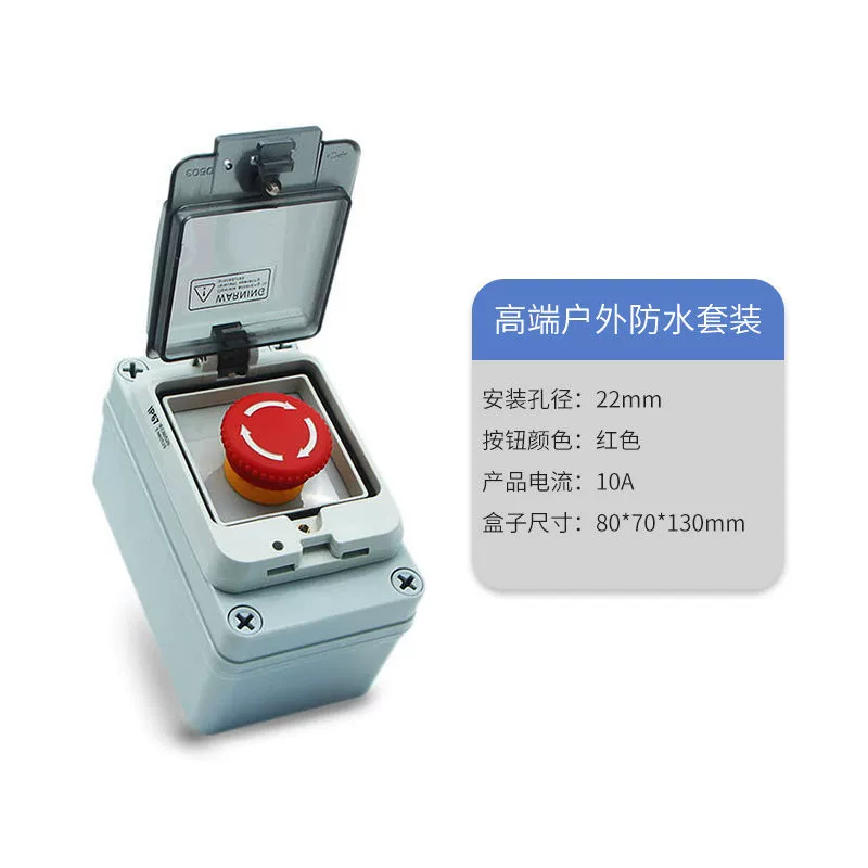 Switch key with clove mushrooms, button, 38, 22mm, switch box