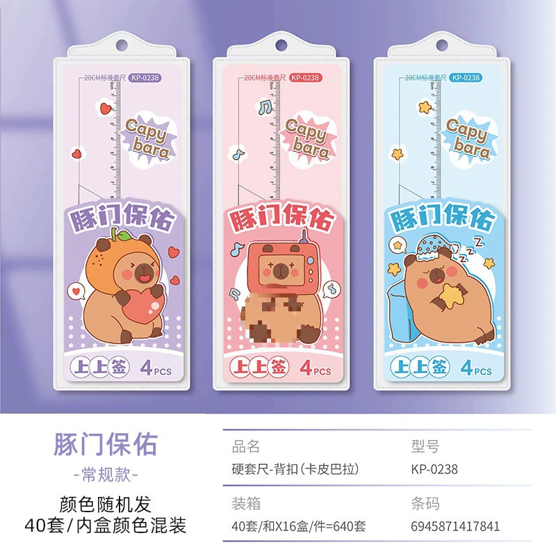 Cartoon cute universal ruler for students, set, 4 piece set