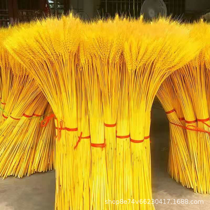 现货供应干花麦穗染料 金黄粉染色剂 干花金黄颜料 金黄色