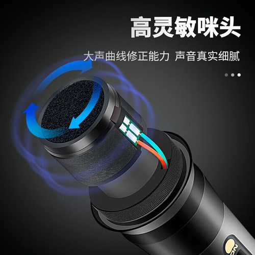 SAST Wireless Microphone Stage Speaker Home Karaoke Television Family Speaker Conference Metal