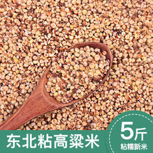 东北粘高粱米农家自种粗粮五谷杂粮糯高粱米酿酒红高粱米新米5斤