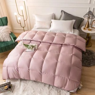 Ŵ���o��Ό���q���� ���Ʒ���l ������q��