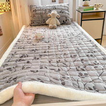 2025�¿��ţ�̽q�Ӻ�A�ތW�������|