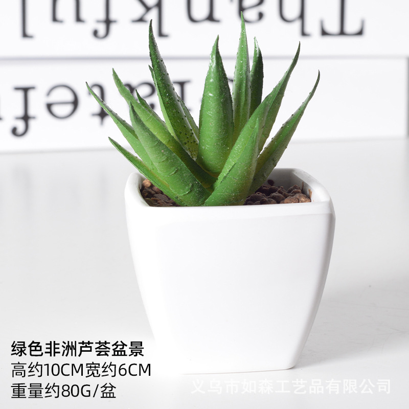 Simulación de plástico carnoso bonsai flor falsa combinación oficina interior escritorio plantas verdes pequeños adornos plantas artificiales al por mayor image 30