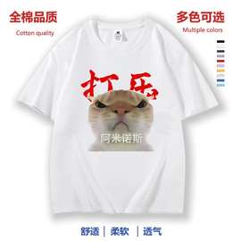 大头猫童装表情包纯棉t恤半袖歪嘴猫阿米诺斯沙雕学生短袖男女