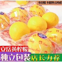 四川安岳黃檸檬5斤新鮮當季水果現摘皮薄鮮甜青檸檬大果6