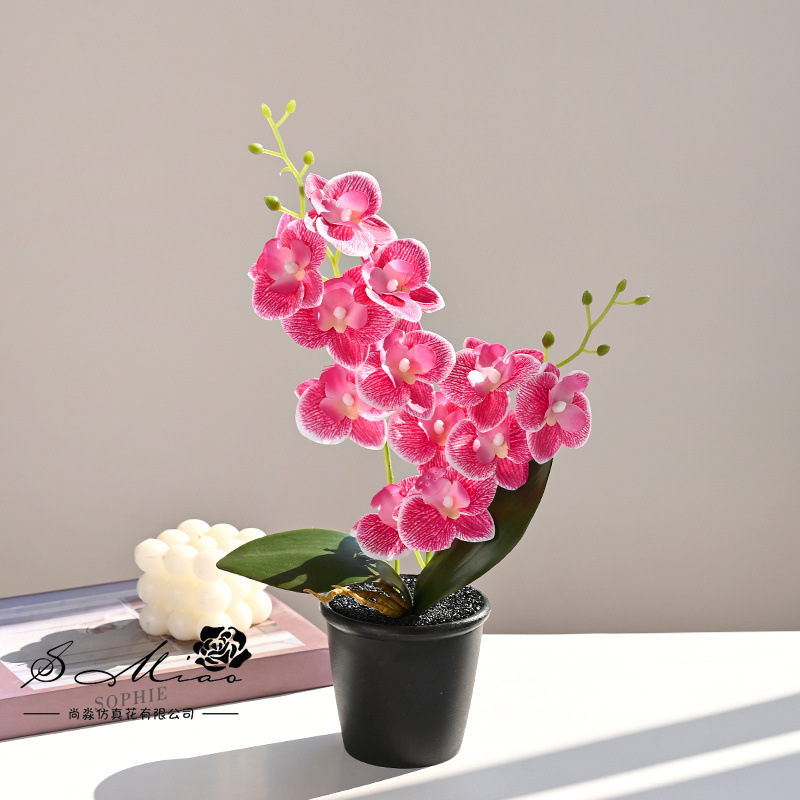 12 flores Phalaenopsis planta en maceta flor de simulación creativa decoración de estudio fotográfico para el hogar decoración planta verde artificial simulación planta en maceta