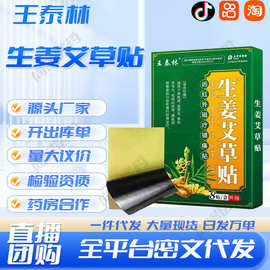王泰林生姜艾草贴厂家现货批发一件代发