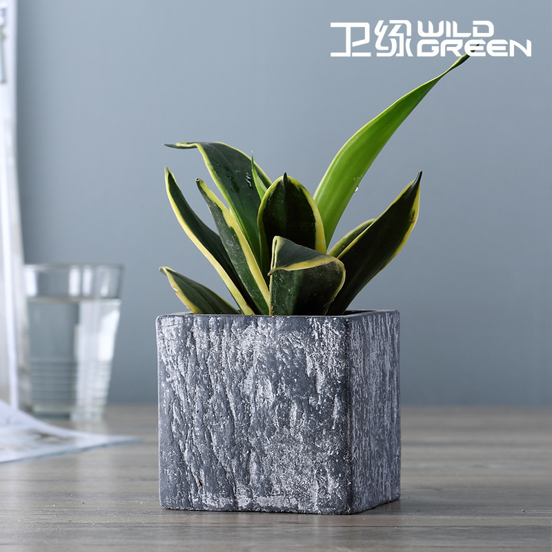 Weilu Cement Flower Pot Nordic Imitation Natural Stone Pot with Tray Succulent Plant Creative Cement Flower Pot Batch Weilu Cement Flower Pot Nordic Imitation Natural Stone Pot with Tray Succulent Plant Creative Cement Flower Pot Batch