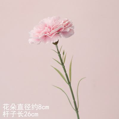 Claveles especiales (pétalos finos) 10