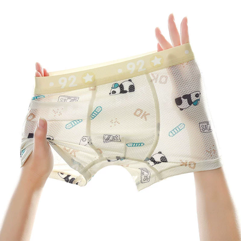 Le Pan Summer Thin Silk Underwear for Boys - Antibacterial, Breathable Kids' Pants for Teens aged 6-18