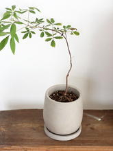 ��ʽˮ������҃��йŴ����մ����������L�U��͹�������������