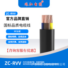 广东珠江电缆2芯RVV0.5-4黑白护套阻燃铜芯电线家装工程软电源线
