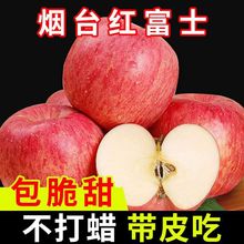 红富士苹果烟台栖霞水果当季新鲜脆甜条纹苹果