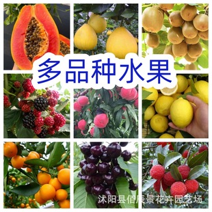 ��Ʒ�Nˮ���N�Ӵ�ȫ����ľ�Ͽ羳���u���Թ����ļ����N�����l