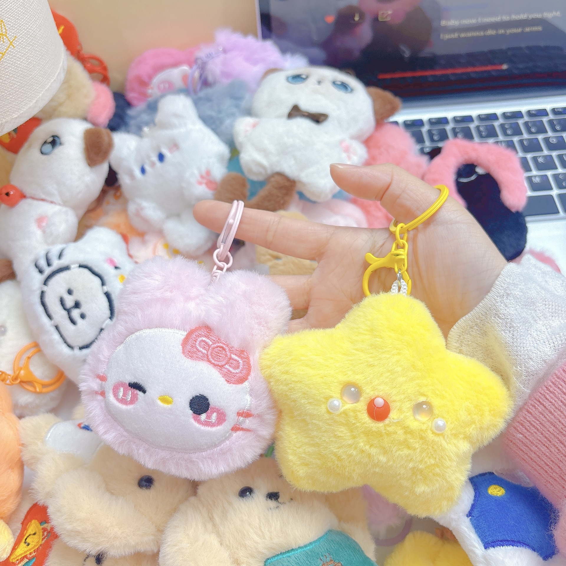 랜덤 1개 (대부분 중대형 인형 키링)