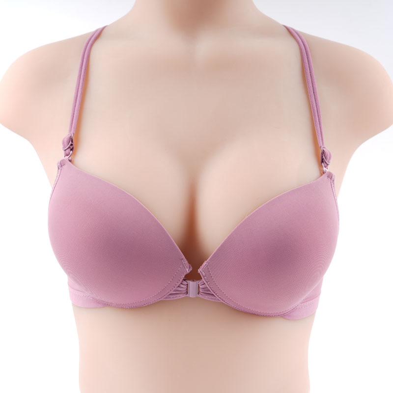 Polvo de pasta de frijol