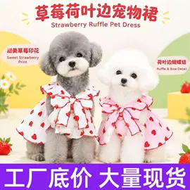 狗狗服装;宠物鞋靴;狗狗包、箱