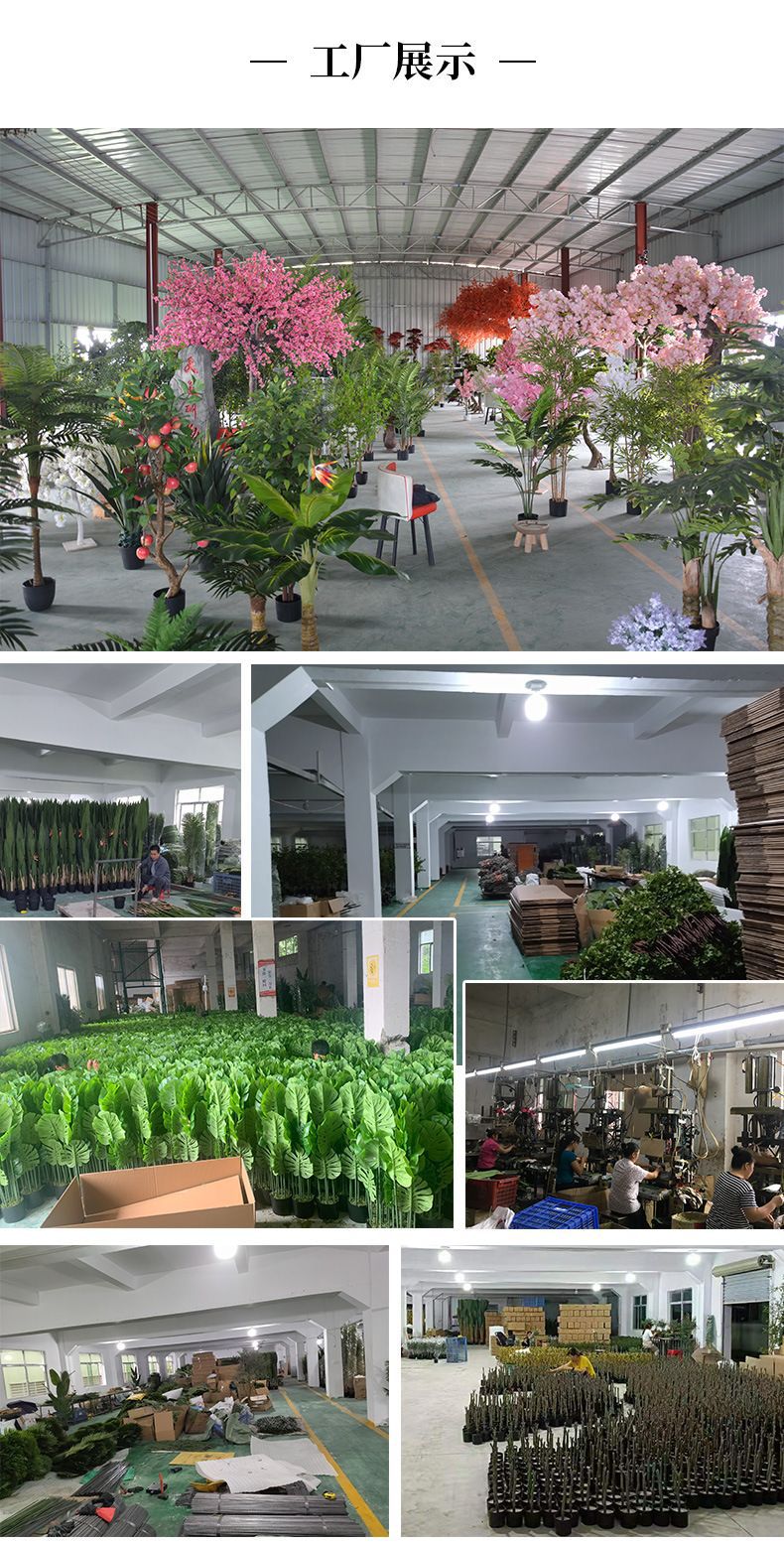 6f6b4a61c49bd50342381cd863398f