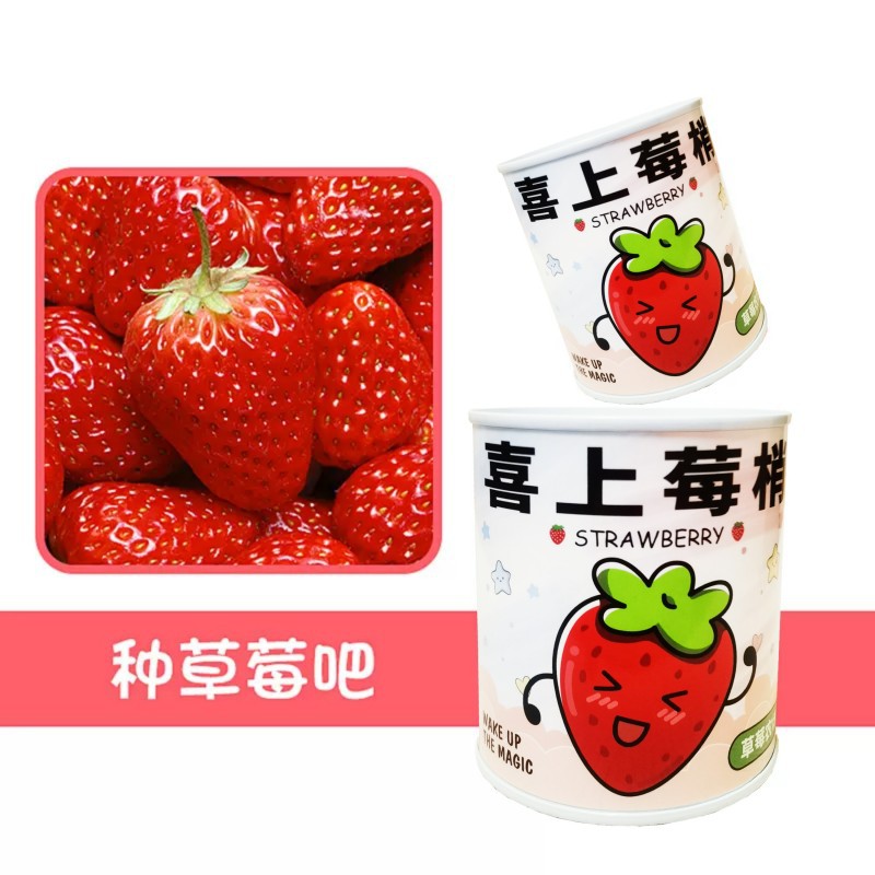 种植儿童易拉罐花卉魔豆创意网红盆栽迷你幼儿园植物盲盒绿植罐头