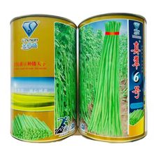 6̖NGLǷN ߮a͟͝LGǷN