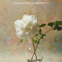 羳͹ͮ錚ƷWʽĔzСu׃zӰl