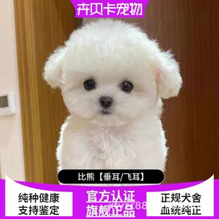 ������Ȯ���NС�w����Ȯ�L���w���豭Ȯ���wС��Ȯ���B���ﹷ��