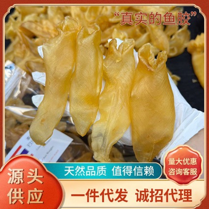 天然鱼胶花胶老胶A货泰国黄花胶鱼肚一德路海鲜干货批发一件代发